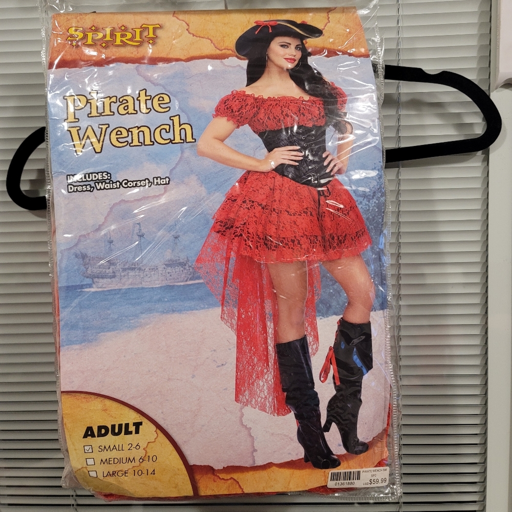 Ladies pirate costume